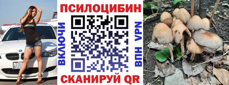 Галлюциногенные грибы прущие грибы  Чаплыгин 